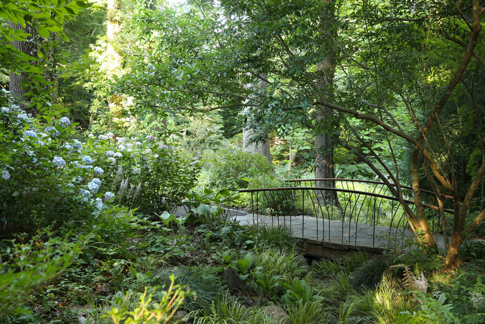 A-bridge,-inspired-by-bamboo-culms,-crosses-a-creek-in-the-Asian-Woods.-LR-jpg