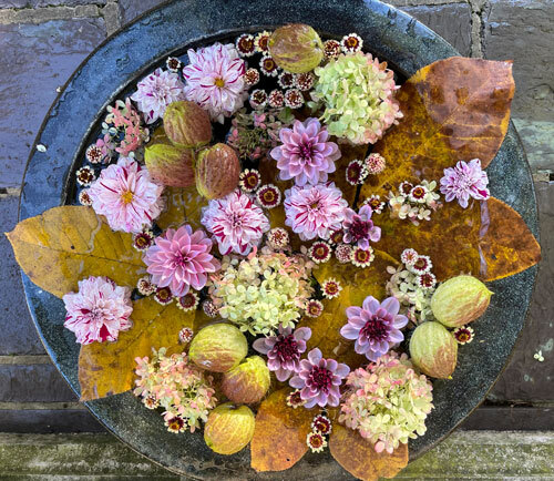 A floating flower arrangement by Horticulturist, Timothy Erdmann captures autumn's hues on the Chanticleer Terrace. Tim Erdmann