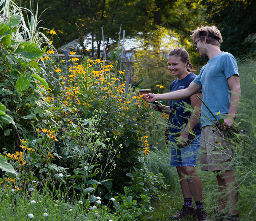 Prefer a guided experience