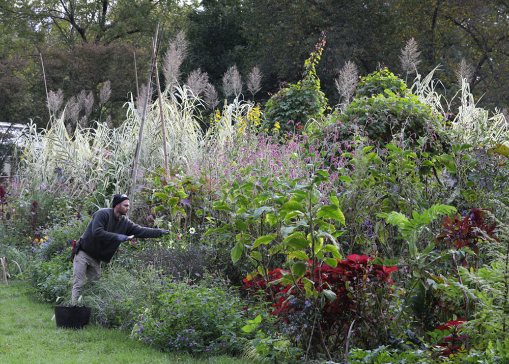 Dixter-Scholarship-v2