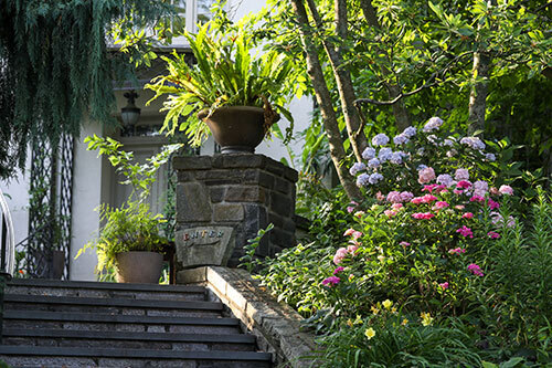 Hydrangea line the staircase